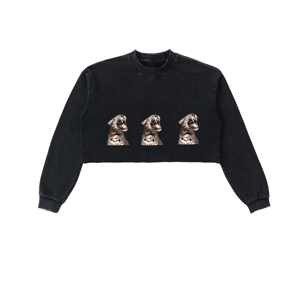 Snow Washed Raw Edge Cropped Sweatshirt