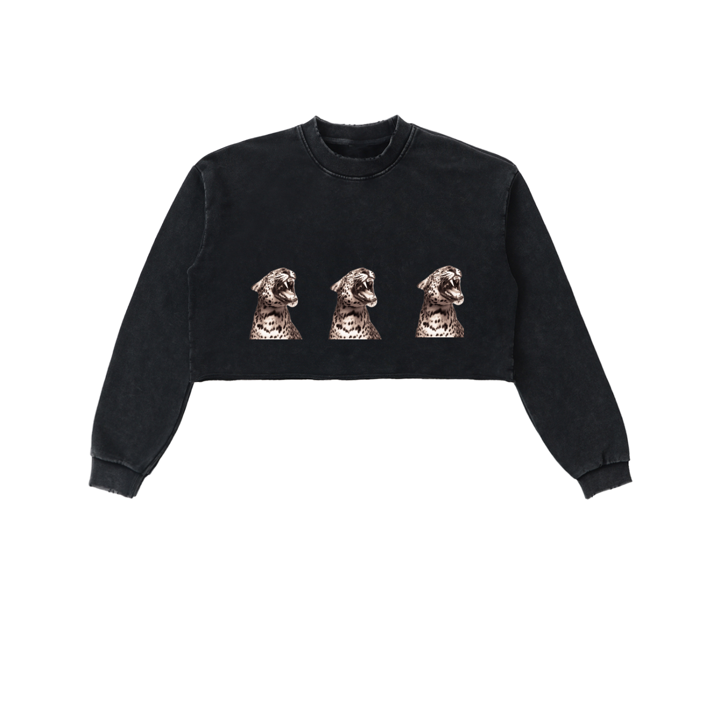 Snow Washed Raw Edge Cropped Sweatshirt